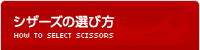 シザーズの選び方 HOW TO SELECT SCISSORS