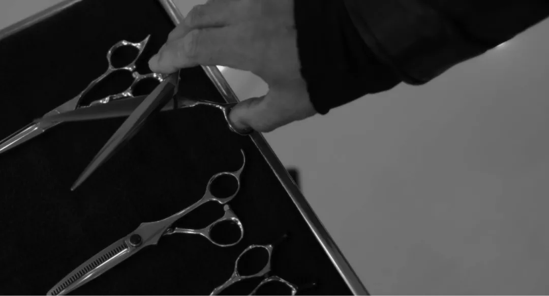 シザーズ選定ナビ