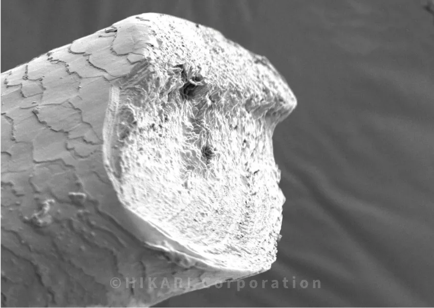 一般的なハサミ 角度をつけた部分には、目で見てわかる境目があります。